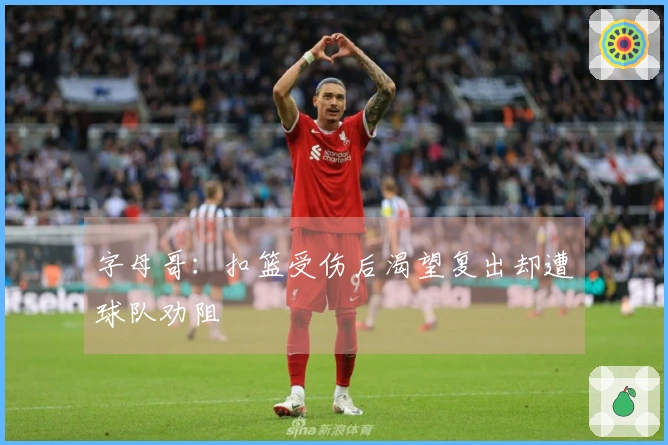 字母哥:扣篮受伤后渴望复出却遭球队劝阻