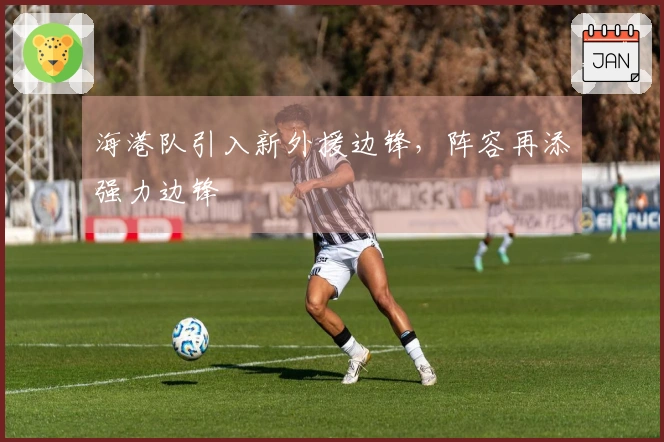海港队引入新外援边锋，阵容再添强力边锋
