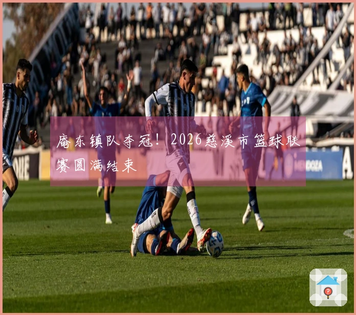 庵东镇队夺冠！2026慈溪市篮球联赛圆满结束